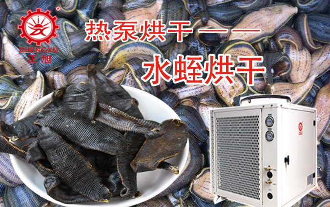 水蛭熱泵烘干工藝 水蛭熱泵烘干工藝