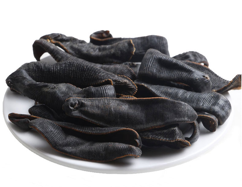 水蛭熱泵烘干最佳時間 水蛭熱泵烘干最佳時間