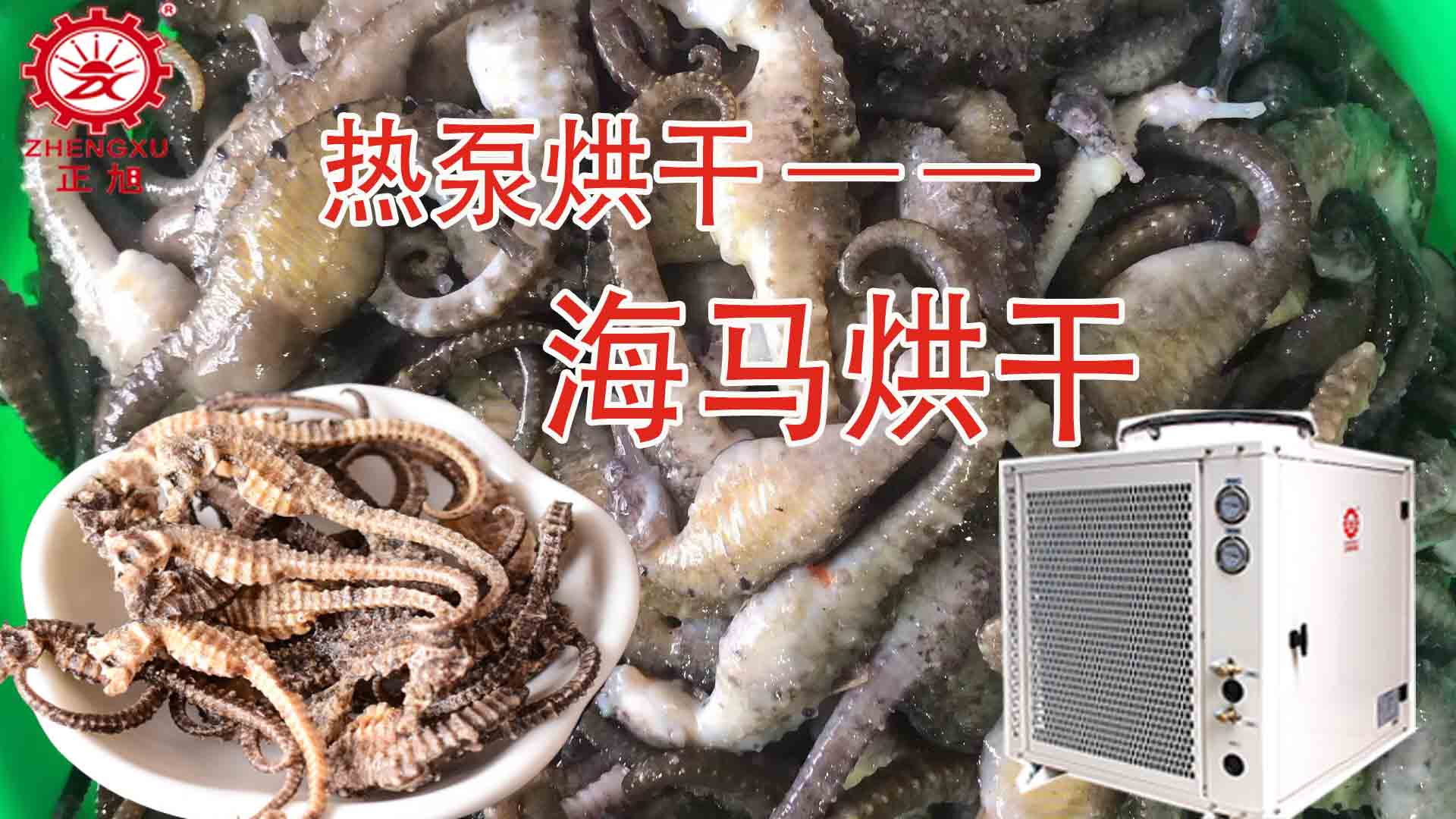 海馬熱泵烘干方法詳解(含研粉、清洗、宰殺、烘干時間) 海馬熱泵烘干方法詳解(含研粉、清洗、宰殺、烘干時間)